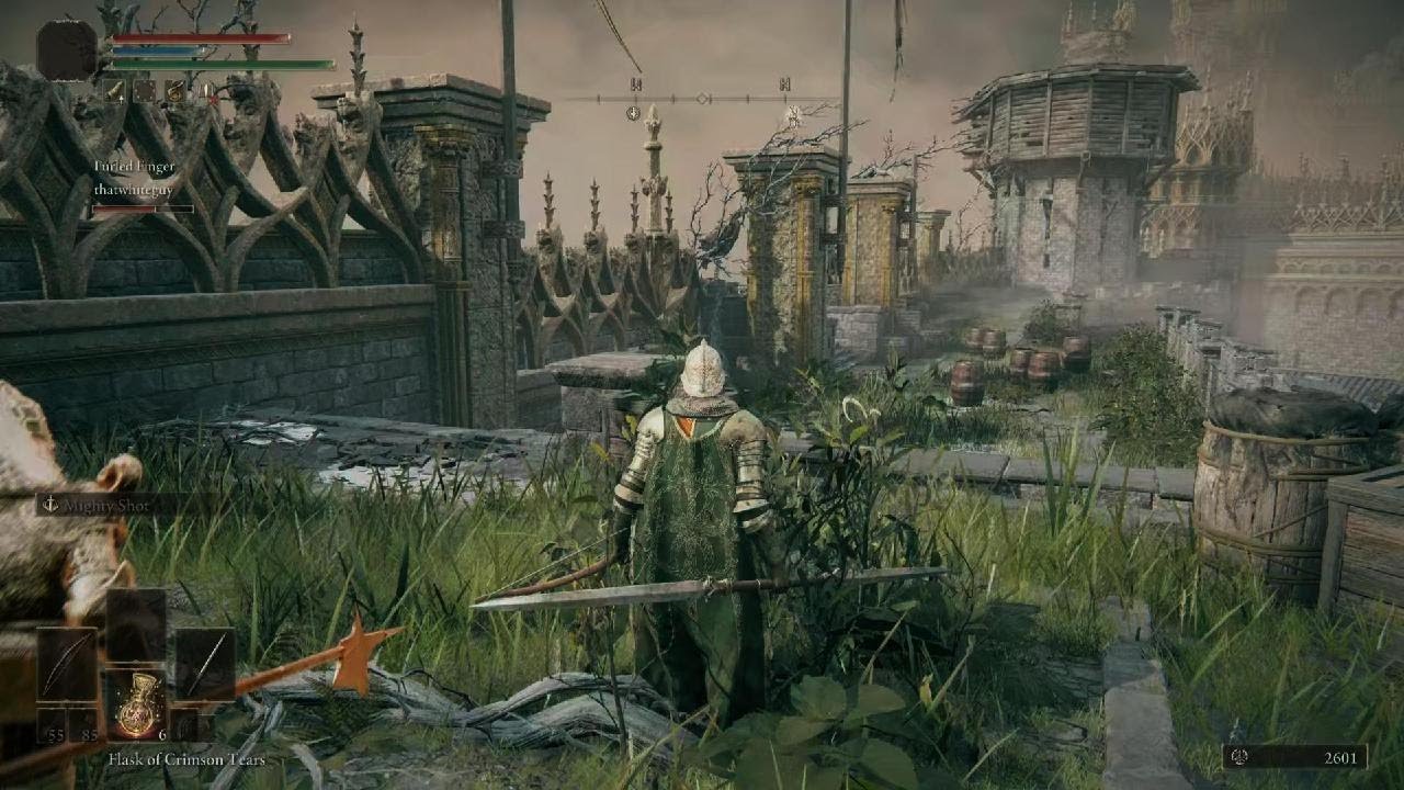 ELDEN RING " I didnt make it " YouTube