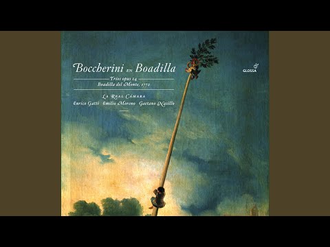 String Trio in F Major, Op. 14, No. 1, G. 95: II. Adagio assai