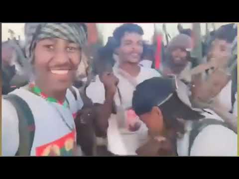 Jaal Janjessaa Dinaa Koo 