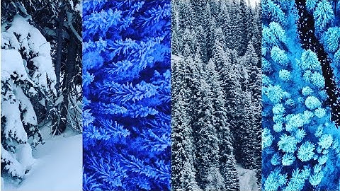 Summer Vibes – Mike Leite (No Copyright Music)