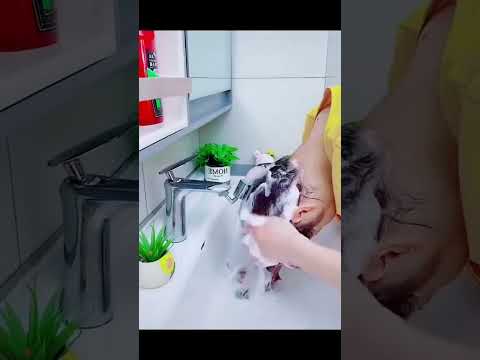 YouTube video poster