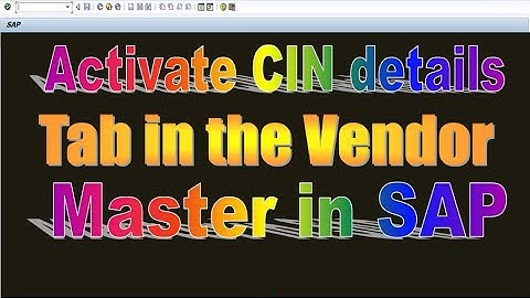 How to Activate CIN details tab in the venodor master in SAP