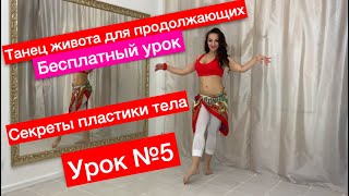 Танец живота смотреть бесплатно 5-й урок