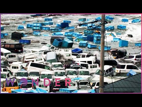 The Deadliest Tsnuamis That The World Has Ever Seen | Code Red