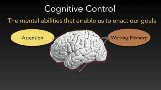 XTech 2017 Day 2 - 1: Intro and The Distracted Mind: Ancient Brains in a High Tech World