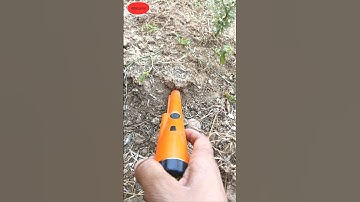 Best pinpointer gold detector #pinpointermetaldetector #golddetector #shortsfeed #metaldetecting