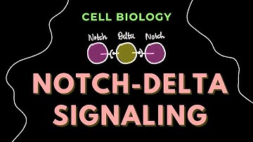 Notch-Delta Signaling | Cell Signaling | Cell Biology | GATE/CSIR-NET