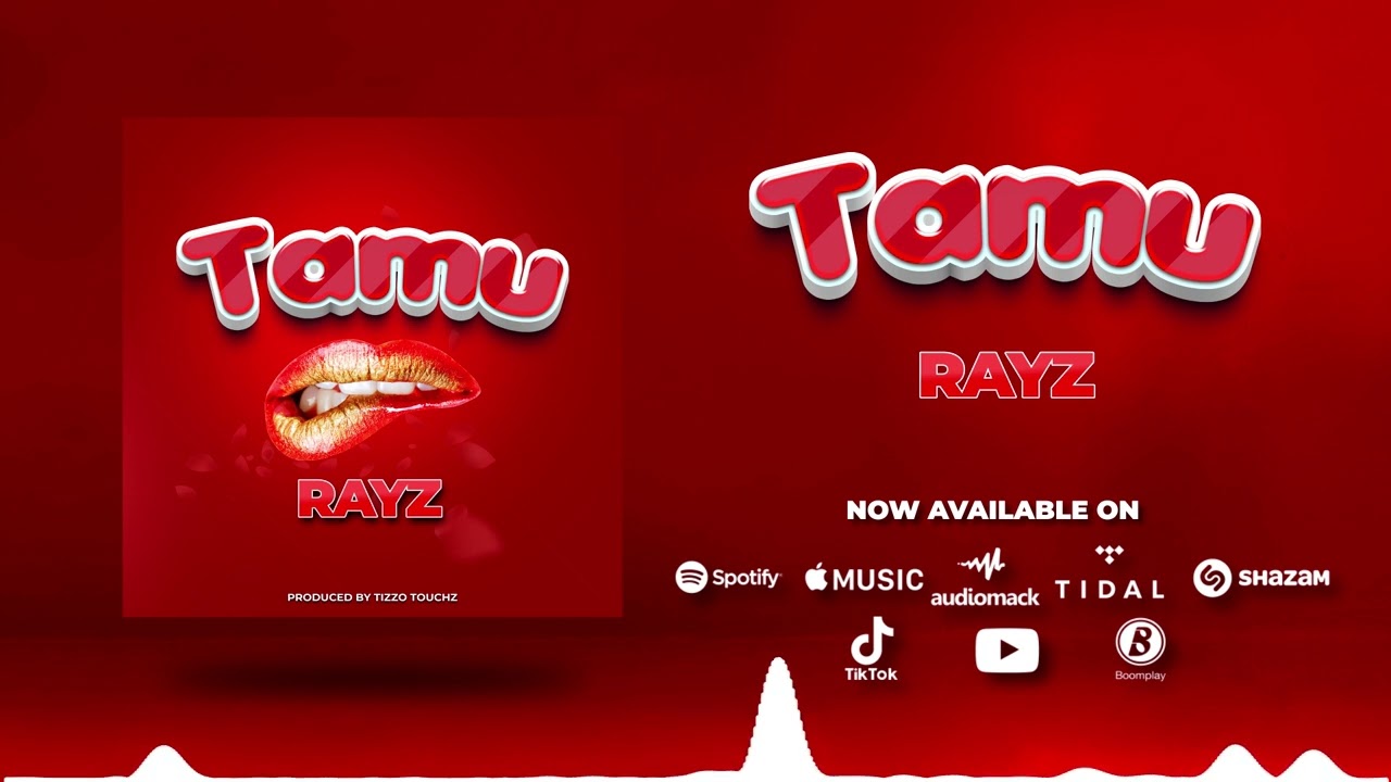 TAMU - RAYZ Tz (Official Music Audio)