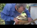 Попередня збірка бджолиних сімей на українську рамку | Підготовка бджіл до зимівлі