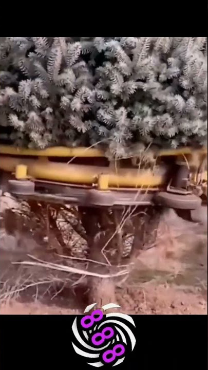satisfying video for stress relief #888