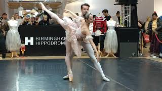 Birmingham Royal Ballet - Absolute Brilliance