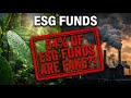 Unpacking the "Green" Investment Hype: Are ESG Funds in India Truly Sustainable? #esg #mutualfunds