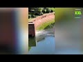 Stunt går galt