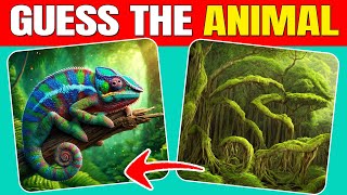 Guess the Hidden Animals by ILLUSIONS | Easy, Medium, Hard levels | Quizzer Odin