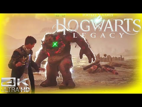 Mr Weekes And I Do Not Make A Good Team - Hogwarts Legacy Part 131 ...