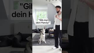 Mein Hund ist mehr Frau als Hund… #husky