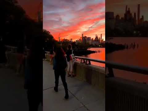 Royalty Free Design Shorts فيديو للتصميم بدون حقوق امريكا