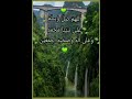 يارب صلي على النبي واله مافاض نبع 