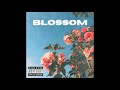 FREE Alternative The Kid Laroi Type Beat Free 2021 | 'BLOSSOM' | POP GUITAR Instrumental Juice WRLD