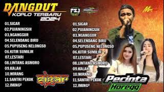 FULL ALBUM DANGDUT KOPLO TERBARU 2024 SEKOP SEKOP(RSJ) FULL BASS