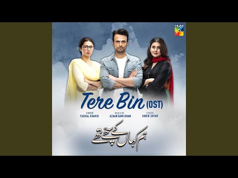 Tere Bin (Hum Kahan Ke Sachay Thy OST)