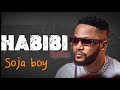 Sabuwar Wakar SOJA BOY HABIBI Lyrics 2026