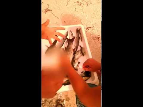 ψαρεμα στο λιμανακι