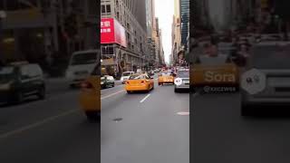 The Kangaroo's Express Delivery #funny #automobile #memes #germanshepherd #mcdonalds