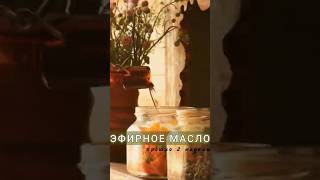 ПРОШЛО 2 НЕДЕЛИ. #дача #садоводничество #эфирноемасло #полевыецветы