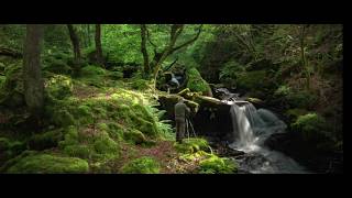 Location Quickie - Melincourt Brook