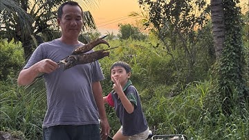 Cá Lốc Đồng Nương Đen Thui Kẹp Mắm Thái  - TVQT.670