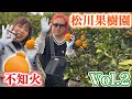 【不知火】松川果樹園 / 熊本県宇城市不知火町 Vol.2