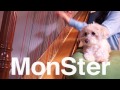 ハープでZYUN.「MonSter」を耳コピで弾いてみた。