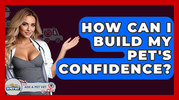 How Can I Build My Pet