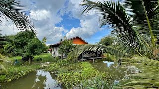 บ้านสวน🏡เกือบ 2 ไร่ 🎀🎉950,000