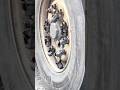 Burn tyre 😳🚛😳 #truckdrivers #trucking #camion