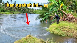 PADAHAL SUNGAI,, TAPI IKAN LAUTNYA SANGAT MELIMPAH.!!! Amazing fishing video