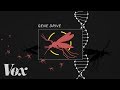 The bold plan to end malaria with a gene drive