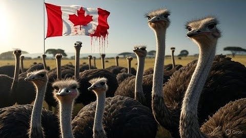 Call Off the Slaughter (Save the Ostriches)