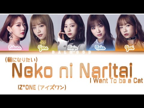 IZ*ONE (アイズワン) - Neko ni Naritai [Color Coded Lyrics Kan|Rom|Eng]