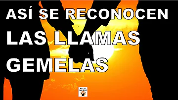 ¿Qué ocurre cuando dos llamas gemelas se reconocen?