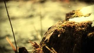 Canon 600D 50Mm 1.8F Ii