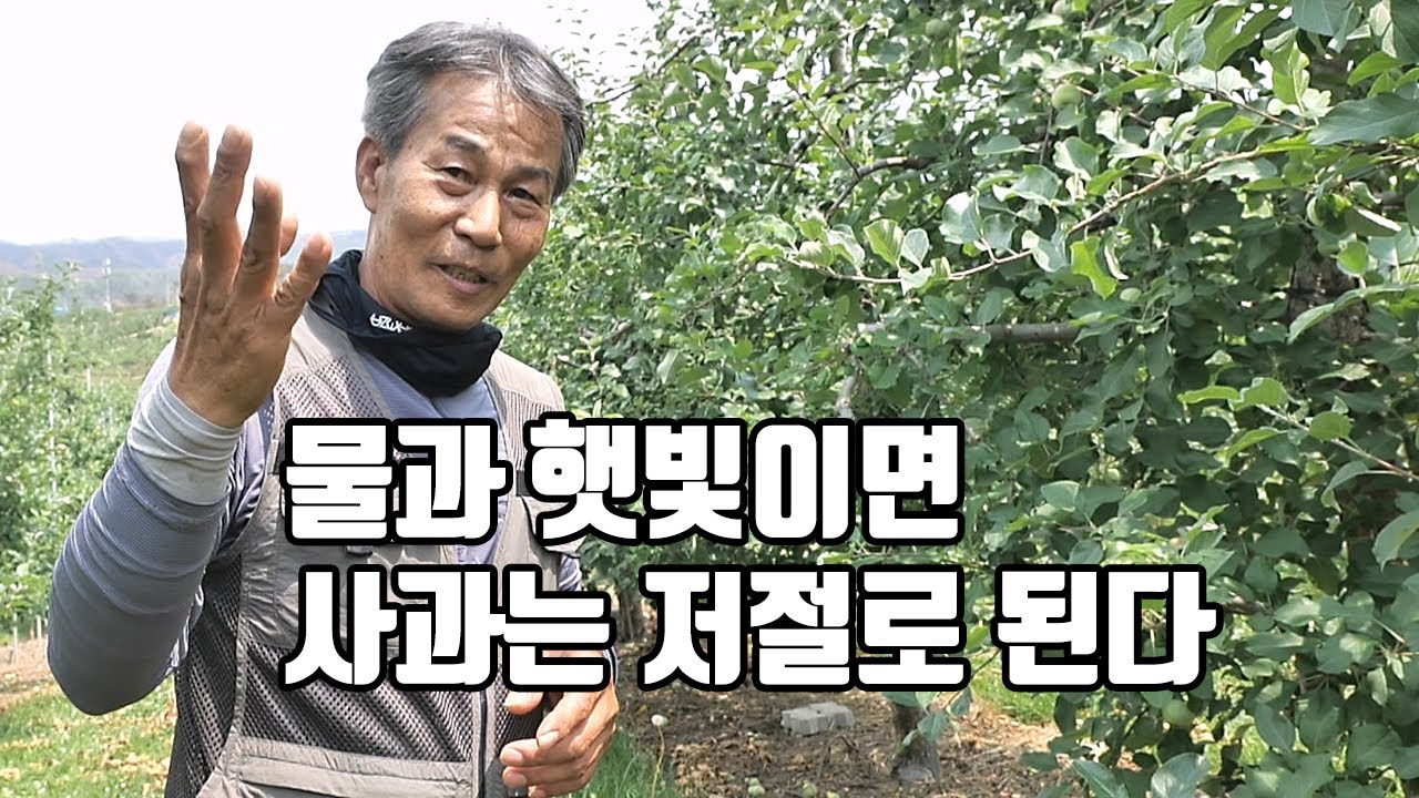 20년 무시비, 땅이 저절로 만들어졌다