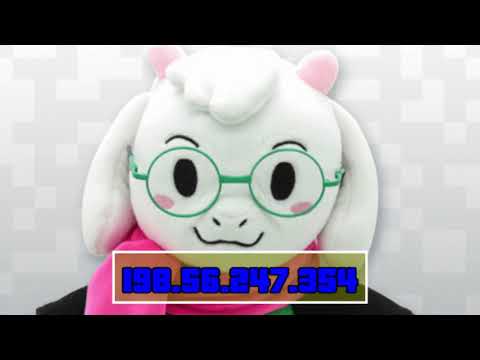 ラルセイはあなたのIPアドレスを晒します