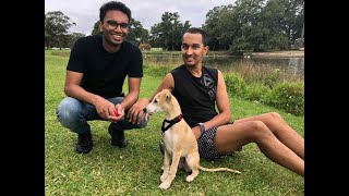 Moving Image A2 Test Shoot 01