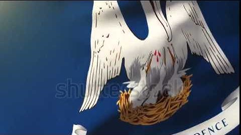 louisiana flag waving in the wind. Looping sun rises style. Animation loop Stock video by