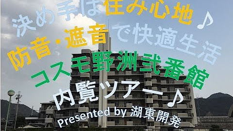 開発 湖東