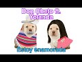Descargar Don Cheto ft. Yolanda || Estoy enamorada ||Con el perrito triste - Friends United Descargar Don Cheto ft. Yolanda || Estoy enamorada ||Con el perrito triste - Friends United