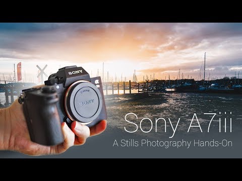 A7 iii - A Stills Photography Review - Sample RAW files included