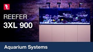 Red Sea Reefer 3xl 900 A Beast Of A System Youtube